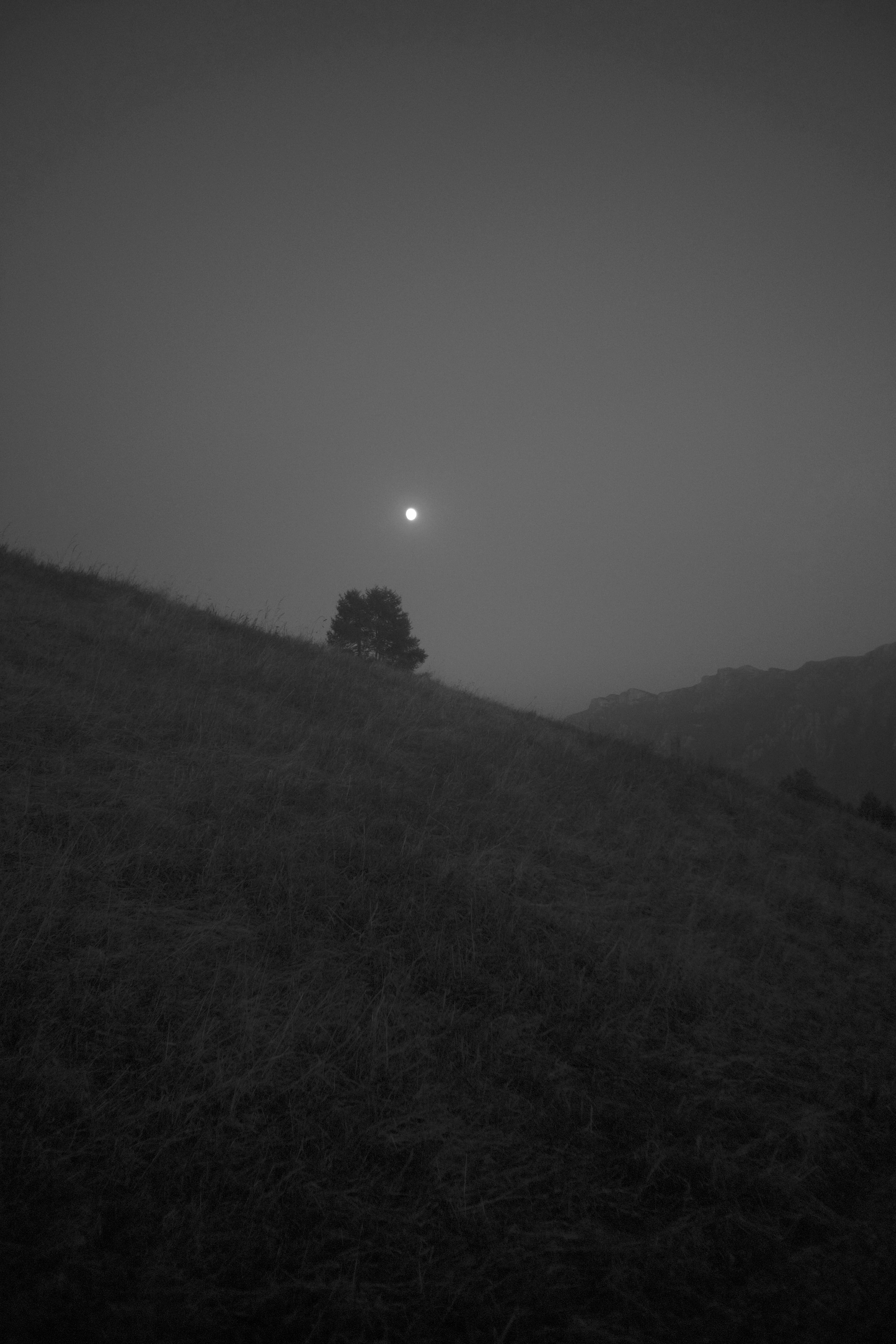 02 image