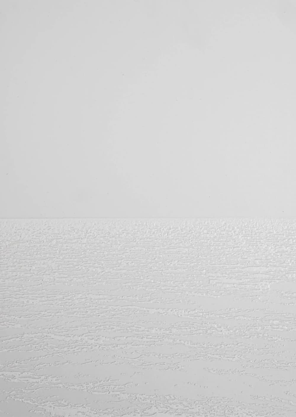 Forma e Metamorfosi image