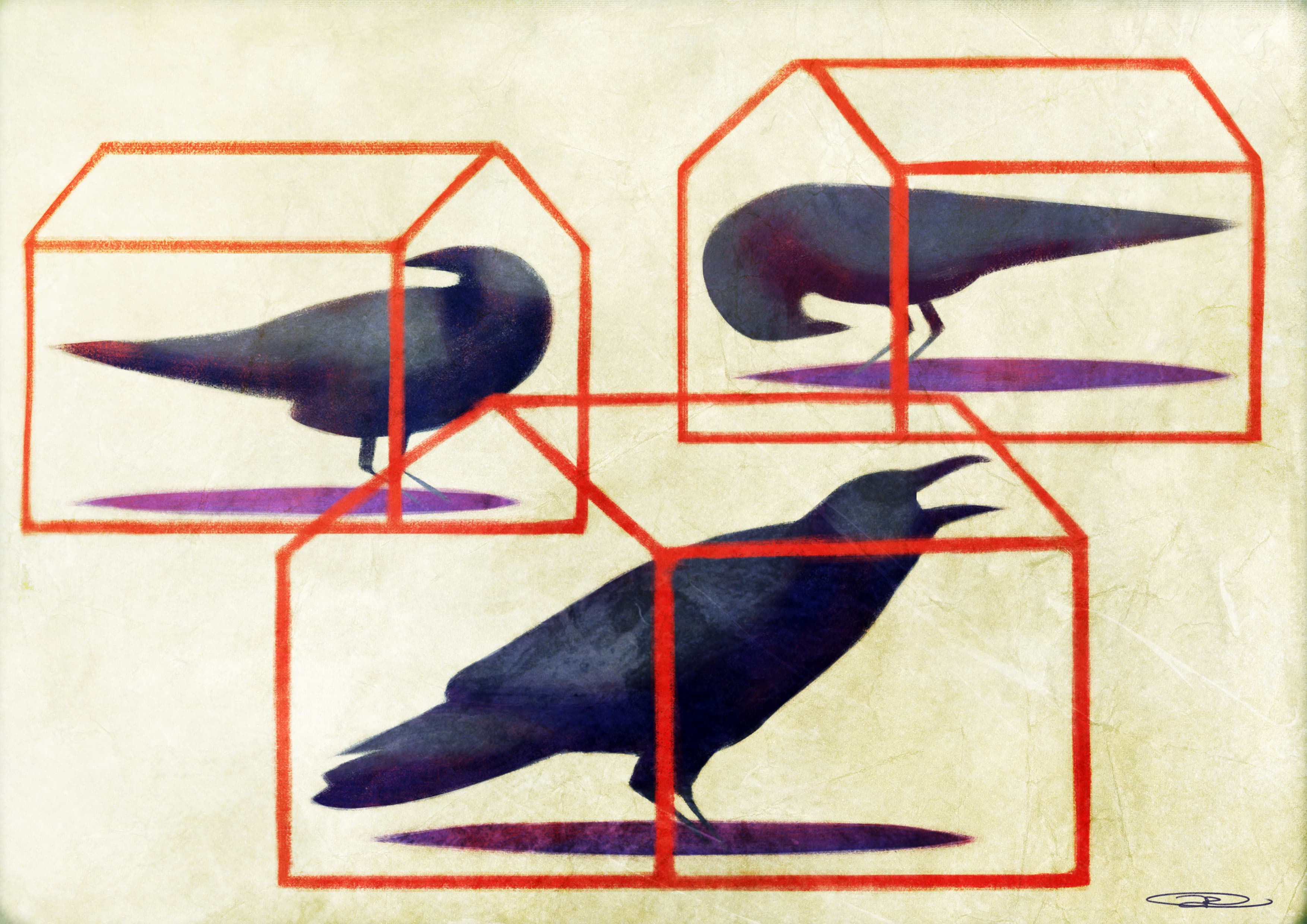 Uccelli - ARTPR-4 image