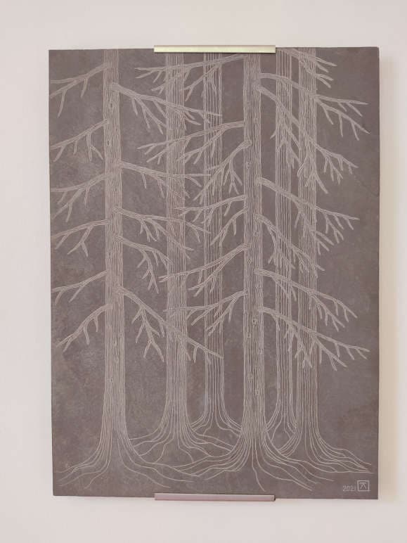 Bosco di larici image